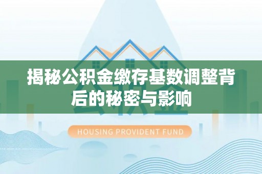 瑞安揭秘公积金缴存基数调整背后的秘密与影响