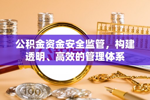 瑞安公积金资金安全监管，构建透明、高效的管理体系