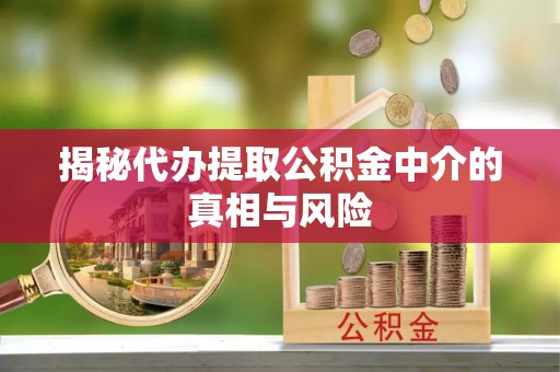 瑞安揭秘代办提取公积金中介的真相与风险