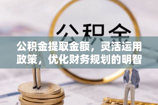 瑞安公积金提取金额，灵活运用政策，优化财务规划的明智选择