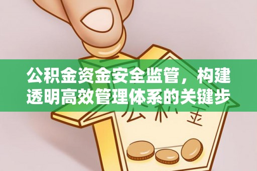 瑞安公积金资金安全监管，构建透明高效管理体系的关键步骤