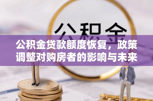 瑞安公积金贷款额度恢复，政策调整对购房者的影响与未来展望