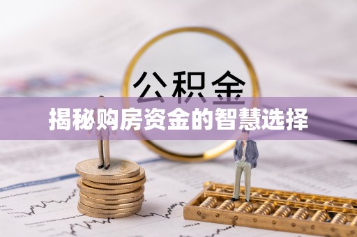 瑞安揭秘购房资金的智慧选择