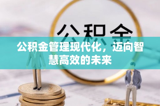 瑞安公积金管理现代化，迈向智慧高效的未来
