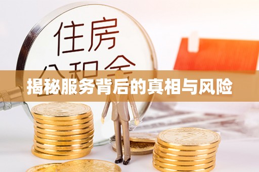 瑞安揭秘服务背后的真相与风险