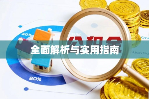 瑞安全面解析与实用指南
