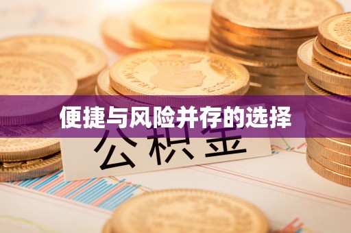 瑞安便捷与风险并存的选择